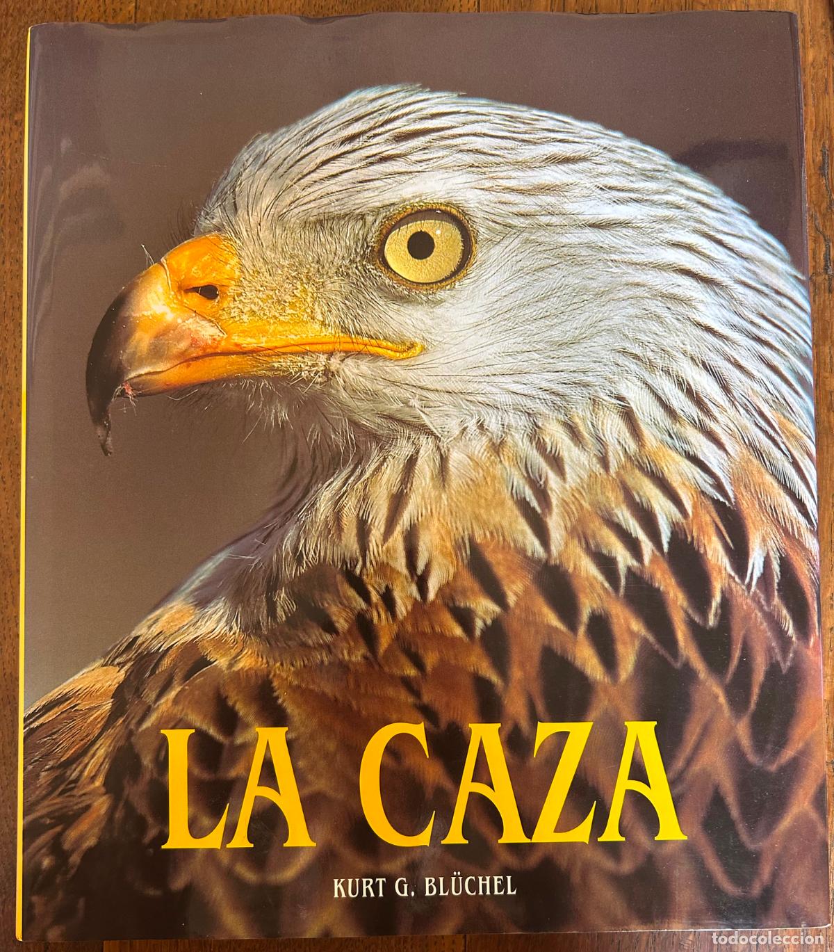 Libros de segunda mano: La Caza. Kurt G. Bl&uuml;chel. K&ouml;nemann ed, 2000 - Foto 1