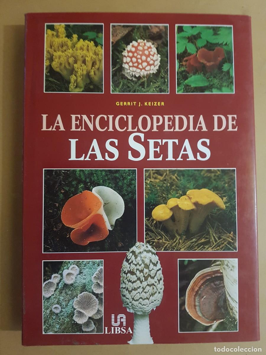 Libros de segunda mano: IMPECABLE - LA ENCICLOPEDIA DE LAS SETAS - GERRIT J. KEIZER - ED. LIBSA - A&Ntilde;O 2000 (ILUST) - Foto 1