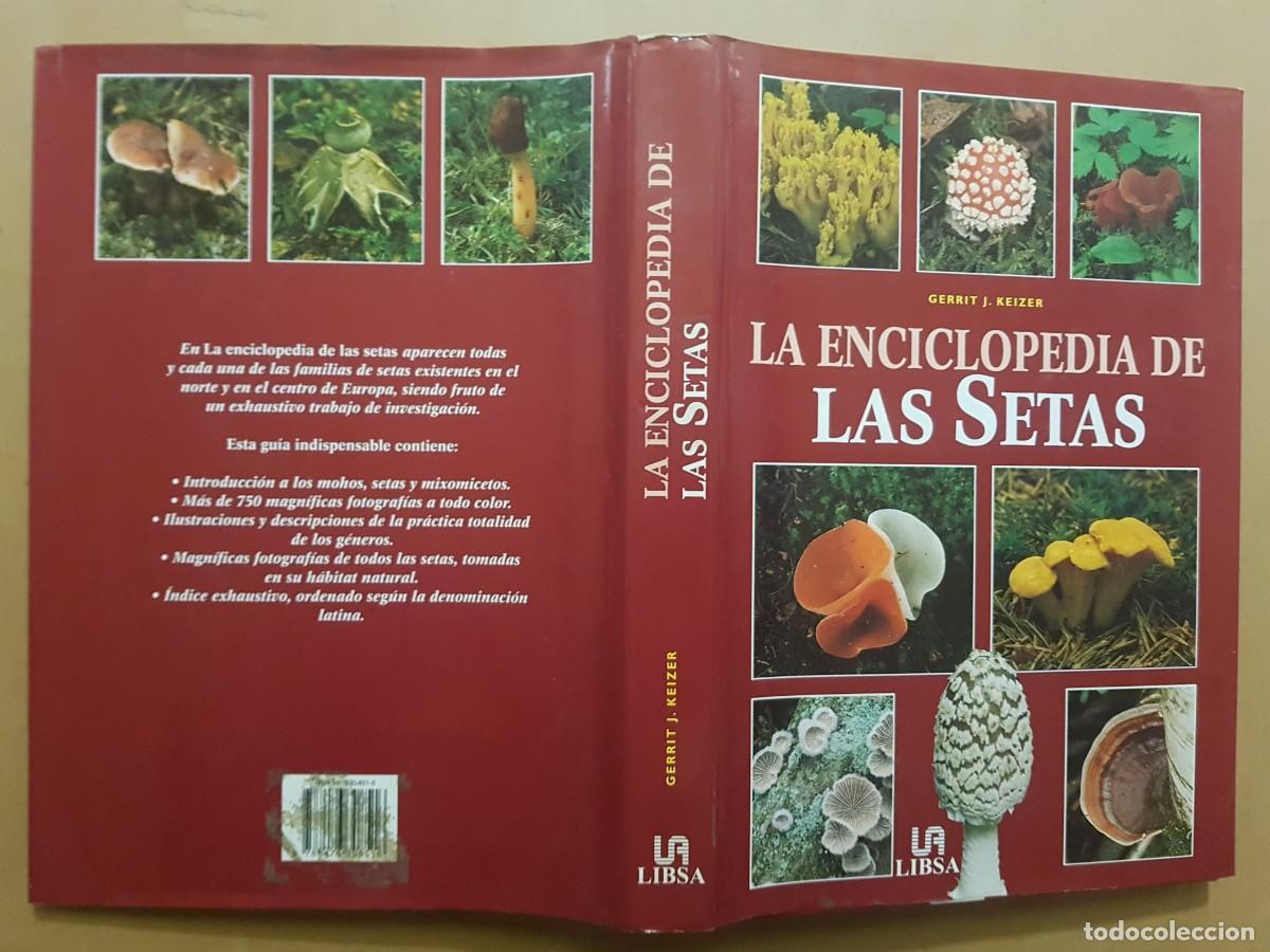 Libros de segunda mano: IMPECABLE - LA ENCICLOPEDIA DE LAS SETAS - GERRIT J. KEIZER - ED. LIBSA - A&Ntilde;O 2000 (ILUST) - Foto 2