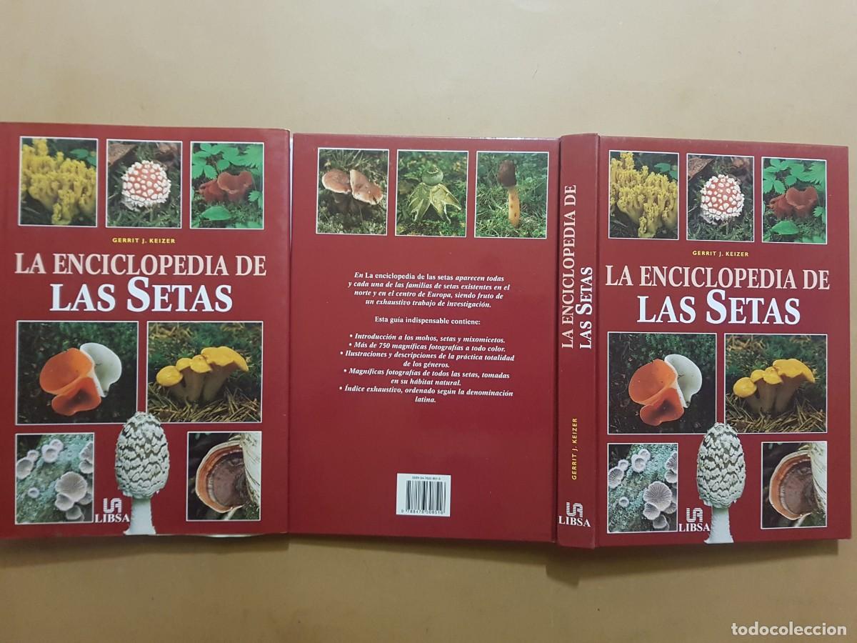 Libros de segunda mano: IMPECABLE - LA ENCICLOPEDIA DE LAS SETAS - GERRIT J. KEIZER - ED. LIBSA - A&Ntilde;O 2000 (ILUST) - Foto 3