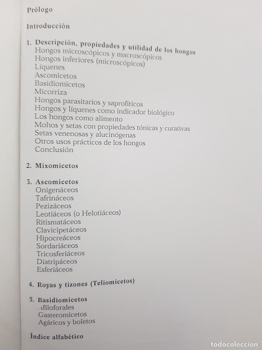 Libros de segunda mano: IMPECABLE - LA ENCICLOPEDIA DE LAS SETAS - GERRIT J. KEIZER - ED. LIBSA - A&Ntilde;O 2000 (ILUST) - Foto 6
