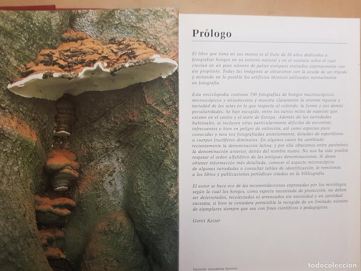 Libros de segunda mano: IMPECABLE - LA ENCICLOPEDIA DE LAS SETAS - GERRIT J. KEIZER - ED. LIBSA - A&Ntilde;O 2000 (ILUST) - Foto 7
