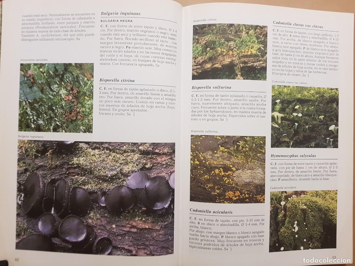 Libros de segunda mano: IMPECABLE - LA ENCICLOPEDIA DE LAS SETAS - GERRIT J. KEIZER - ED. LIBSA - A&Ntilde;O 2000 (ILUST) - Foto 12