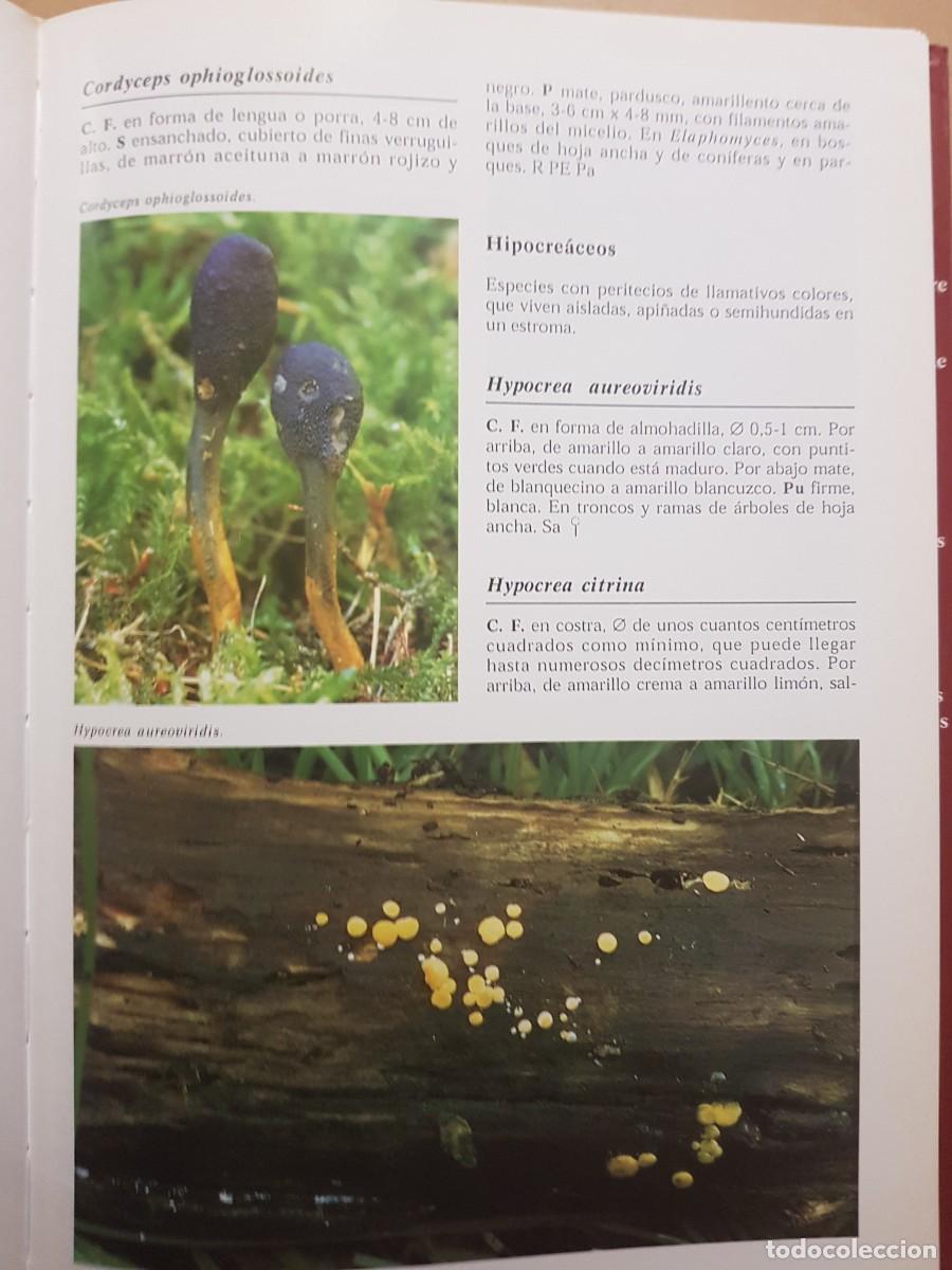 Libros de segunda mano: IMPECABLE - LA ENCICLOPEDIA DE LAS SETAS - GERRIT J. KEIZER - ED. LIBSA - A&Ntilde;O 2000 (ILUST) - Foto 13
