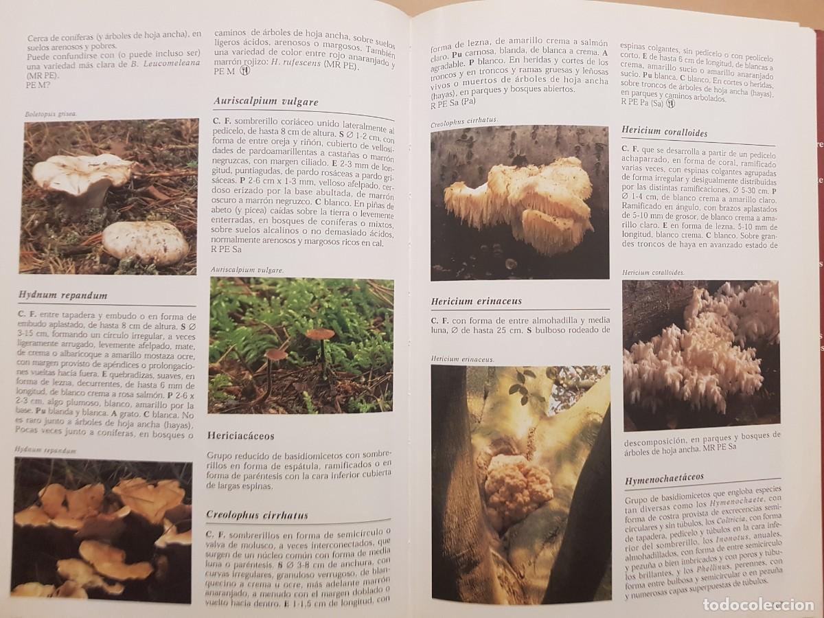 Libros de segunda mano: IMPECABLE - LA ENCICLOPEDIA DE LAS SETAS - GERRIT J. KEIZER - ED. LIBSA - A&Ntilde;O 2000 (ILUST) - Foto 16