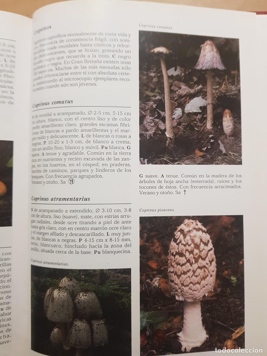 Libros de segunda mano: IMPECABLE - LA ENCICLOPEDIA DE LAS SETAS - GERRIT J. KEIZER - ED. LIBSA - A&Ntilde;O 2000 (ILUST) - Foto 23