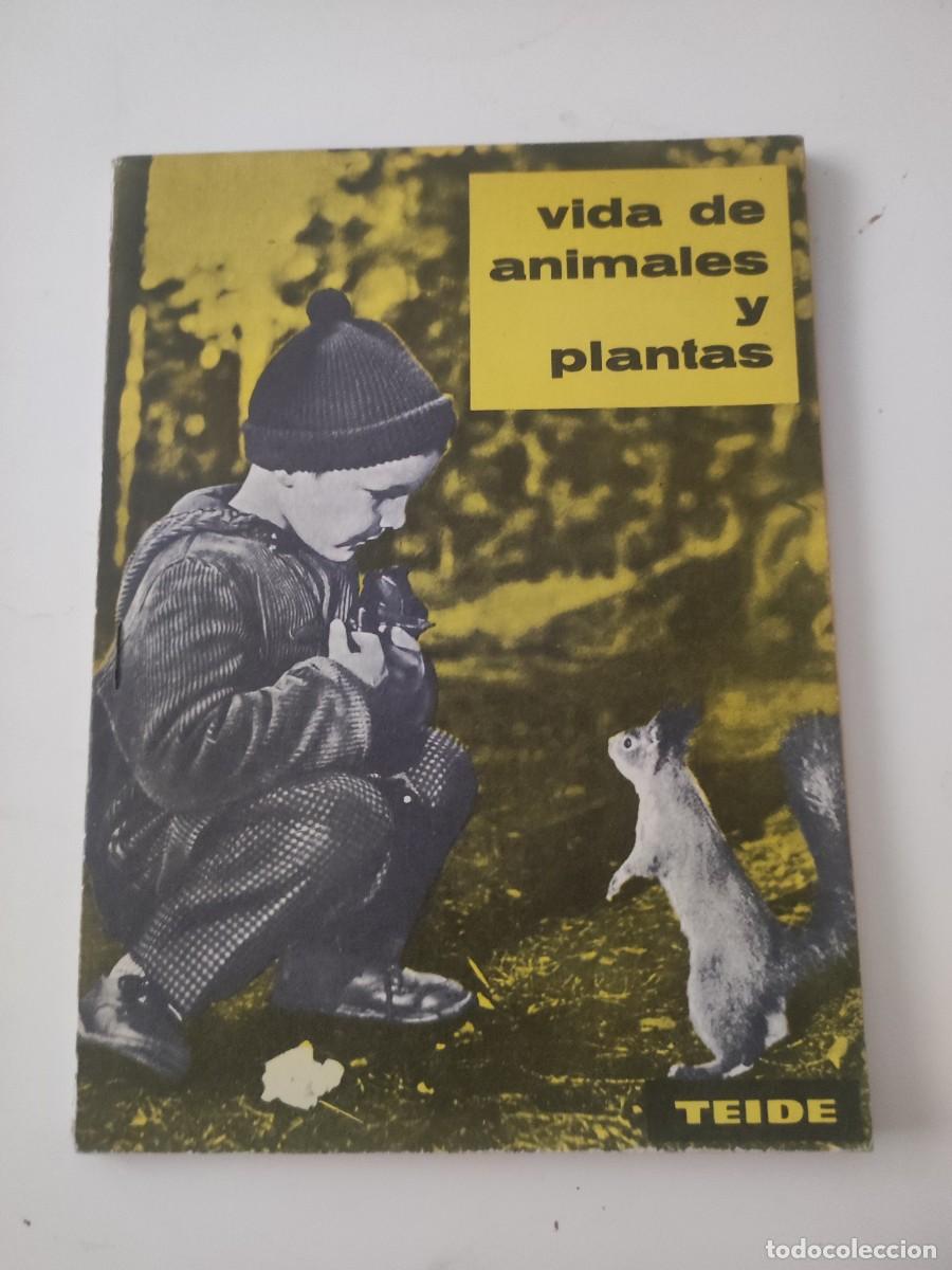 Libros de segunda mano: Vida de animales y plantas. Editorial Teide. - Foto 1