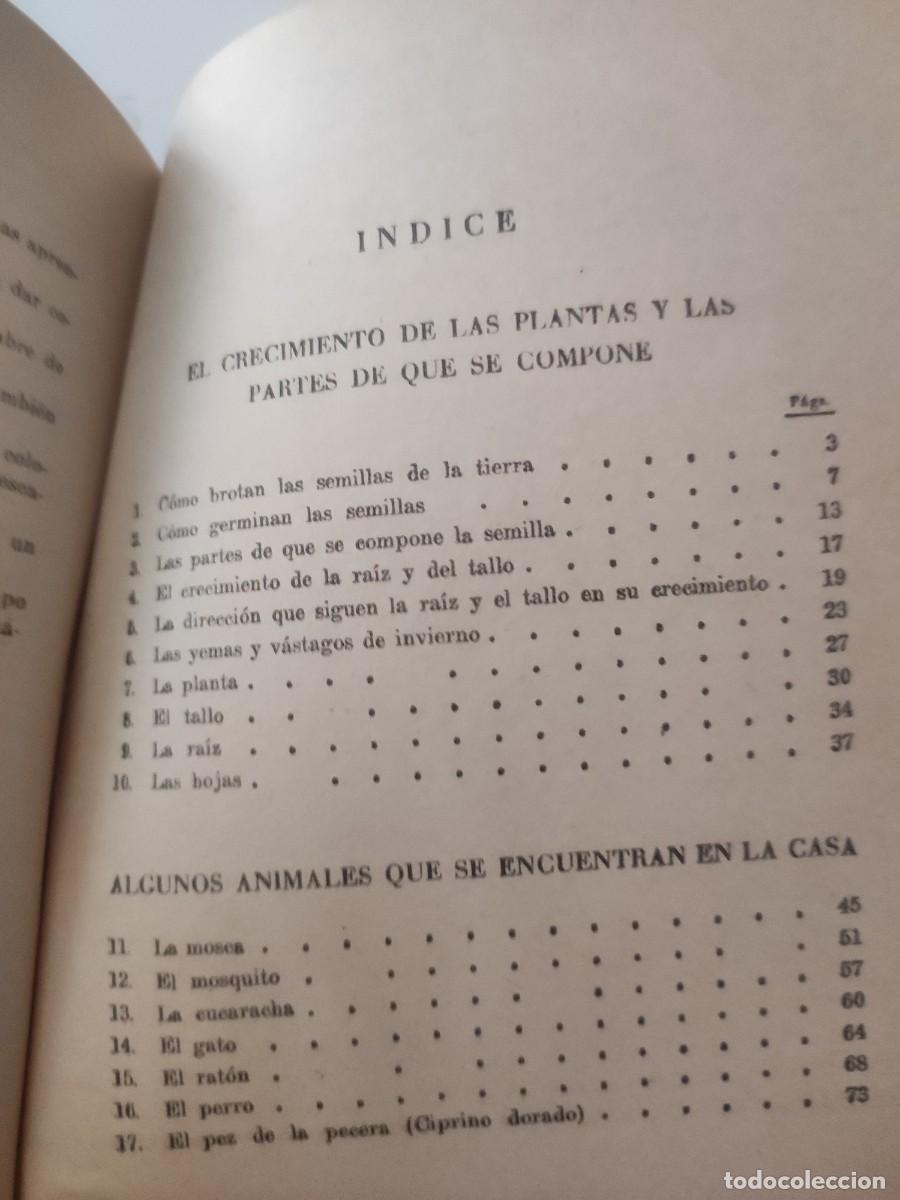 Libros de segunda mano: Vida de animales y plantas. Editorial Teide. - Foto 4