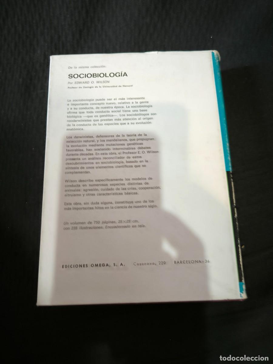 Libros de segunda mano: ETOLOGIA. INTRODUCCION AL ESTUDIO COMPARADO DEL COMPORTAMIENTO (IREN&Auml;US EIBL - EIBESFELDT) OMEGA - Foto 2