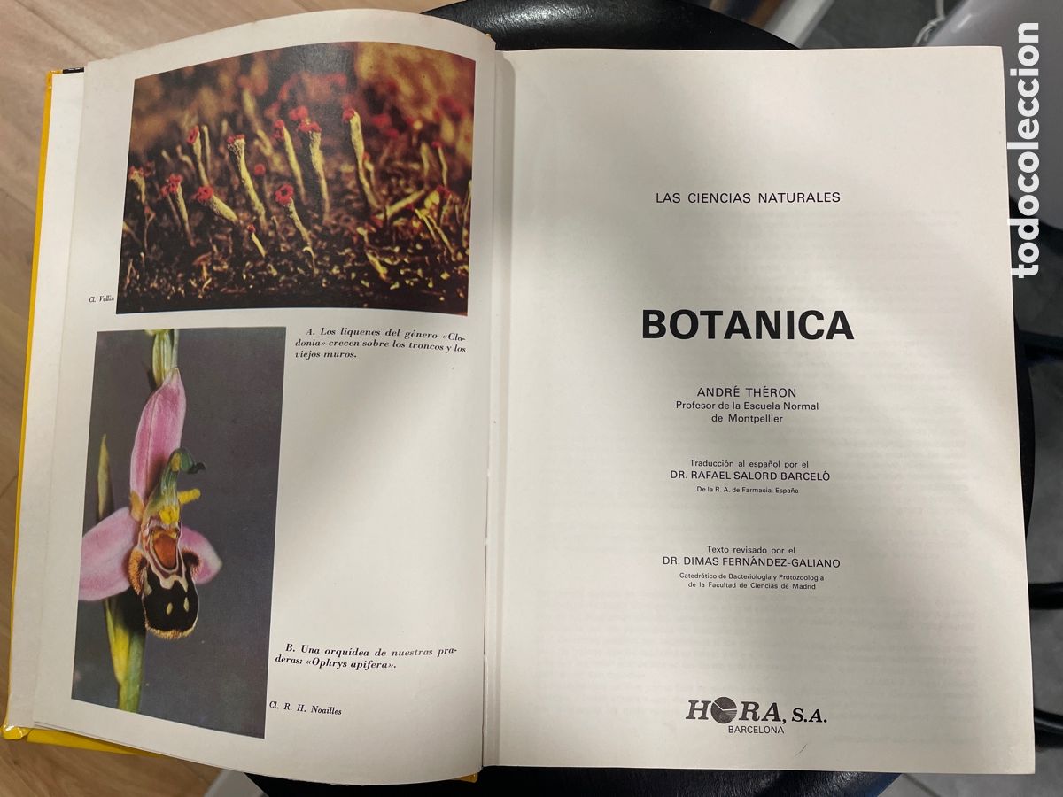 Libros de segunda mano: Bot&aacute;nica, Las ciencias naturales/ Th&eacute;ron Andr&eacute; - Foto 2