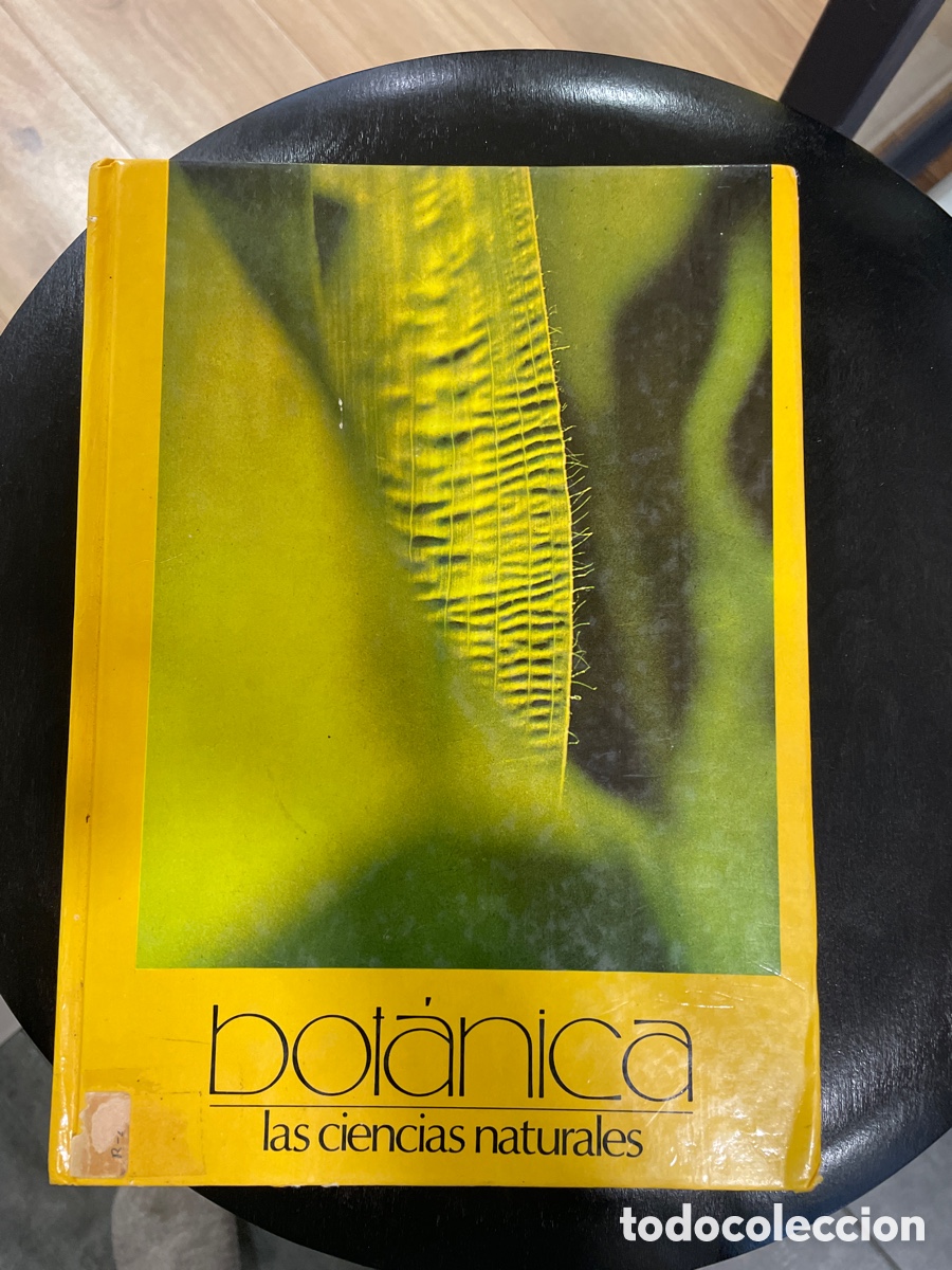 Libros de segunda mano: Bot&aacute;nica, Las ciencias naturales/ Th&eacute;ron Andr&eacute; - Foto 1