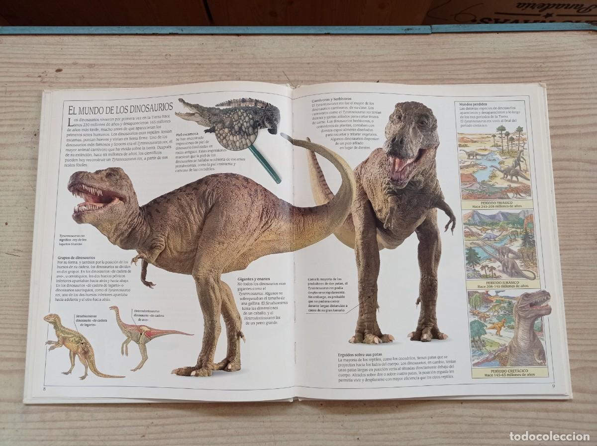 Libros de segunda mano: Tiranosaurio - William Lindsay - 1992 - Circulo De Lectores - Foto 4
