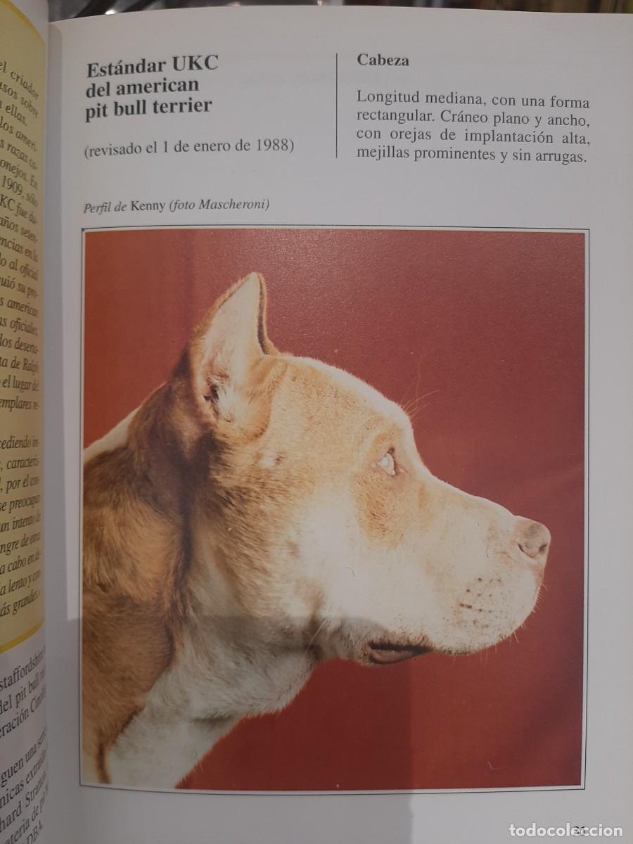 Libros de segunda mano: Guido De Rosa. El Pit Bull - Foto 3