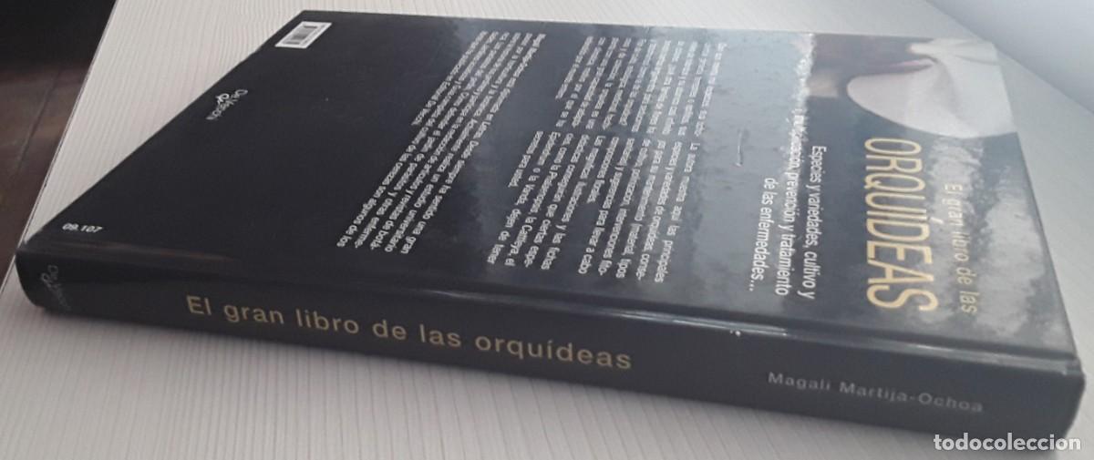 Libros de segunda mano: EL GRAN LIBRO DE LAS ORQU&Iacute;DEAS. MAGAL&Iacute; MARTIJA - OCHOA. - Foto 2