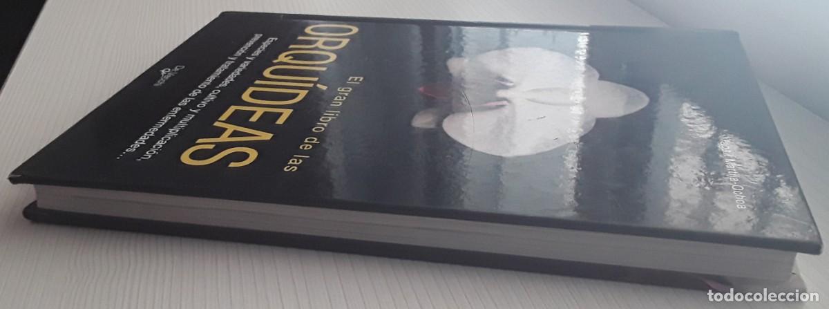 Libros de segunda mano: EL GRAN LIBRO DE LAS ORQU&Iacute;DEAS. MAGAL&Iacute; MARTIJA - OCHOA. - Foto 3