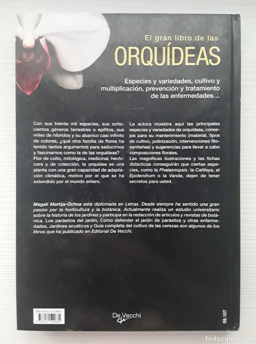 Libros de segunda mano: EL GRAN LIBRO DE LAS ORQU&Iacute;DEAS. MAGAL&Iacute; MARTIJA - OCHOA. - Foto 5