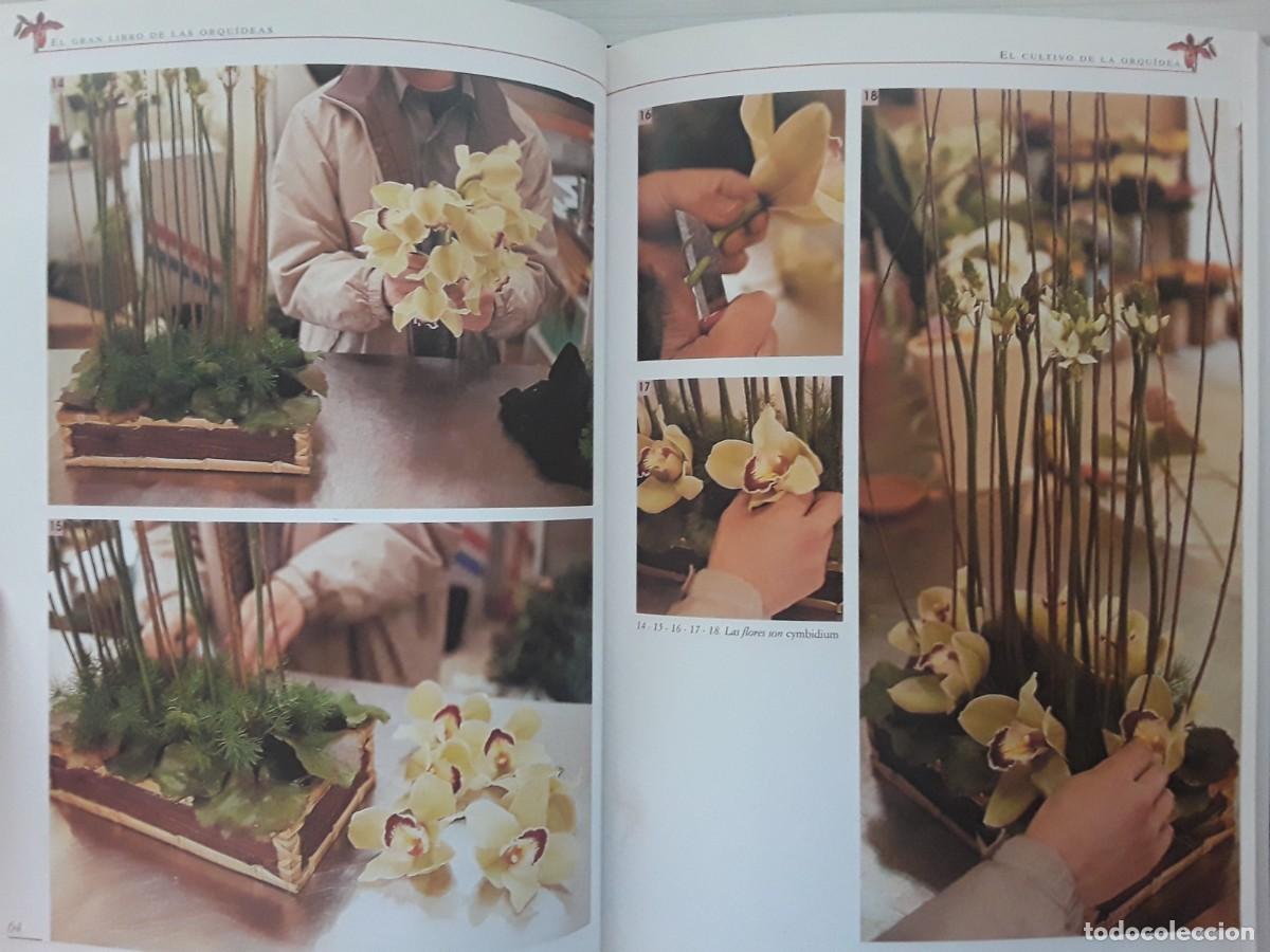 Libros de segunda mano: EL GRAN LIBRO DE LAS ORQU&Iacute;DEAS. MAGAL&Iacute; MARTIJA - OCHOA. - Foto 6