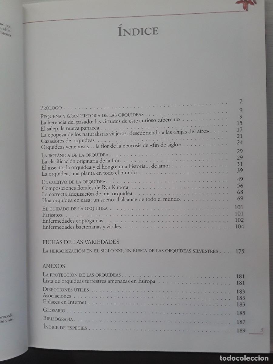 Libros de segunda mano: EL GRAN LIBRO DE LAS ORQU&Iacute;DEAS. MAGAL&Iacute; MARTIJA - OCHOA. - Foto 8