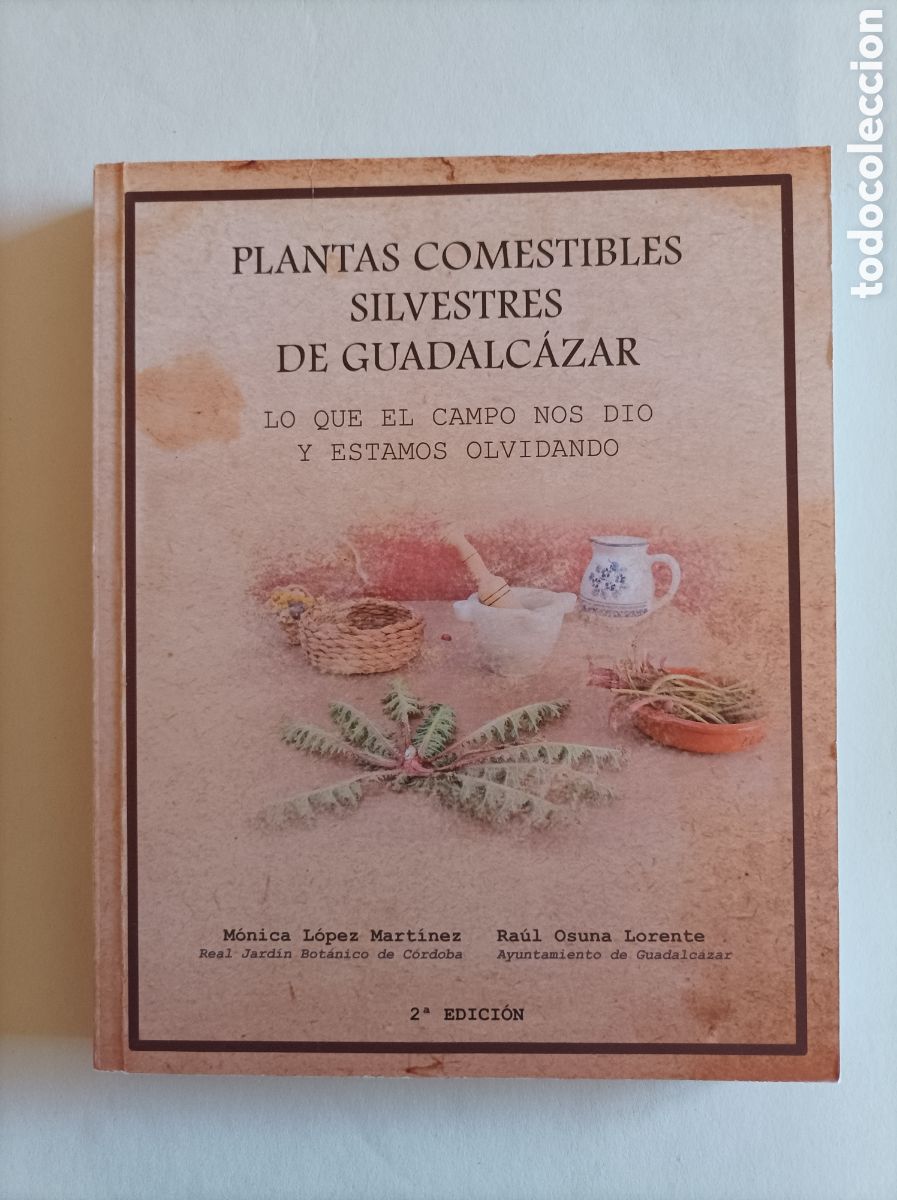 Second hand books: Plantas comestibles silvestres de Guadalcazar / M&oacute;nica L&oacute;pez Mart&iacute;nez y Ra&uacute;l Osuna Lorente