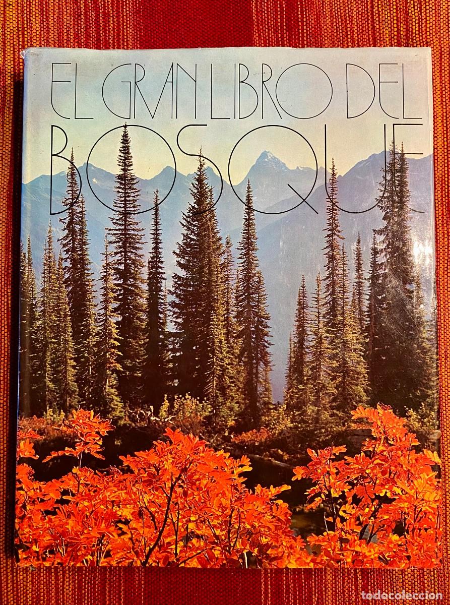 Libros de segunda mano: EL GRAN LIBRO DEL BOSQUE - WALTER K&Uuml;MMERLY - EDITORIAL BLUME - Foto 1