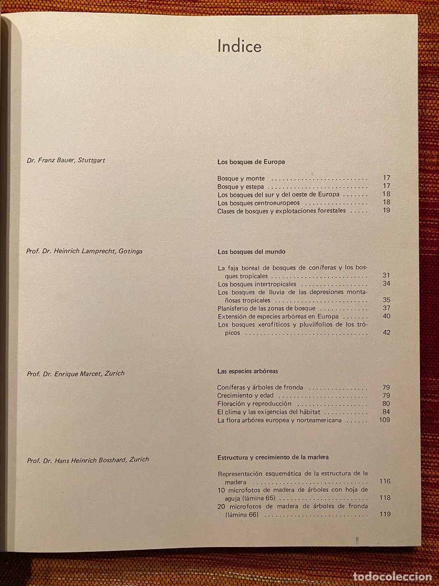 Libros de segunda mano: EL GRAN LIBRO DEL BOSQUE - WALTER K&Uuml;MMERLY - EDITORIAL BLUME - Foto 2