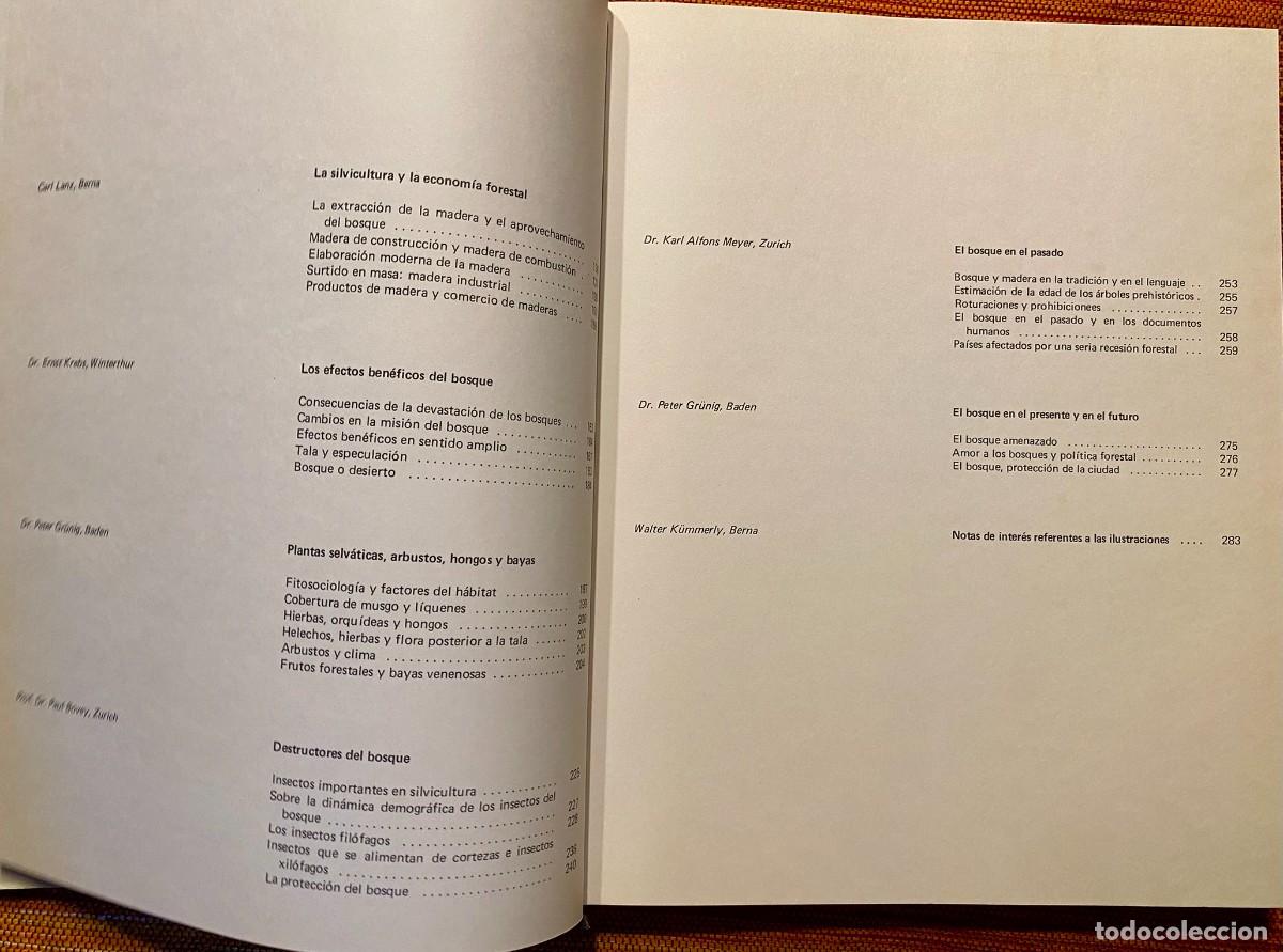 Libros de segunda mano: EL GRAN LIBRO DEL BOSQUE - WALTER K&Uuml;MMERLY - EDITORIAL BLUME - Foto 3