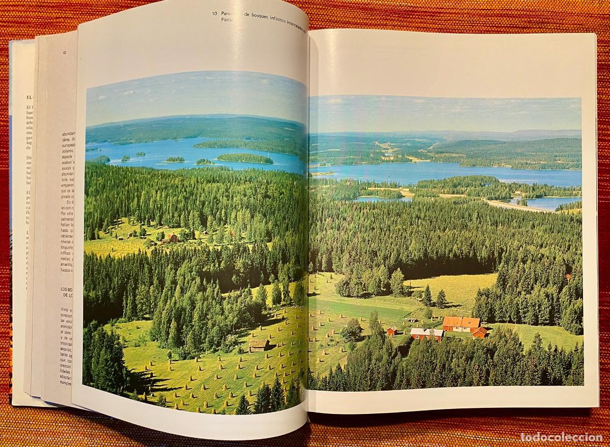Libros de segunda mano: EL GRAN LIBRO DEL BOSQUE - WALTER K&Uuml;MMERLY - EDITORIAL BLUME - Foto 5
