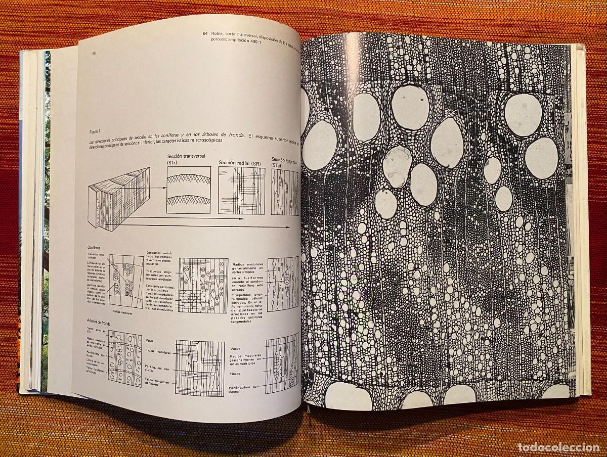 Libros de segunda mano: EL GRAN LIBRO DEL BOSQUE - WALTER K&Uuml;MMERLY - EDITORIAL BLUME - Foto 8
