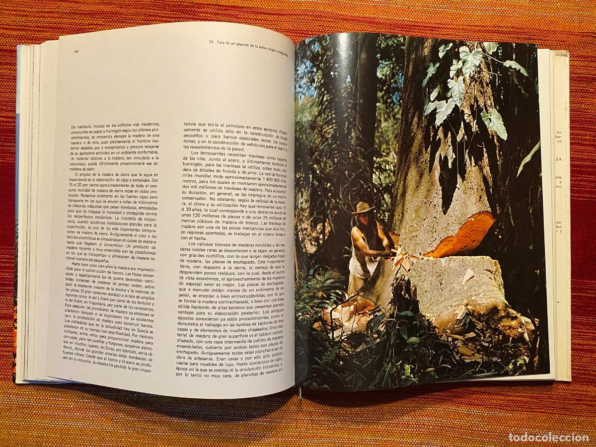 Libros de segunda mano: EL GRAN LIBRO DEL BOSQUE - WALTER K&Uuml;MMERLY - EDITORIAL BLUME - Foto 9