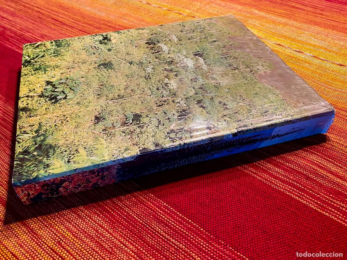 Libros de segunda mano: EL GRAN LIBRO DEL BOSQUE - WALTER K&Uuml;MMERLY - EDITORIAL BLUME - Foto 11