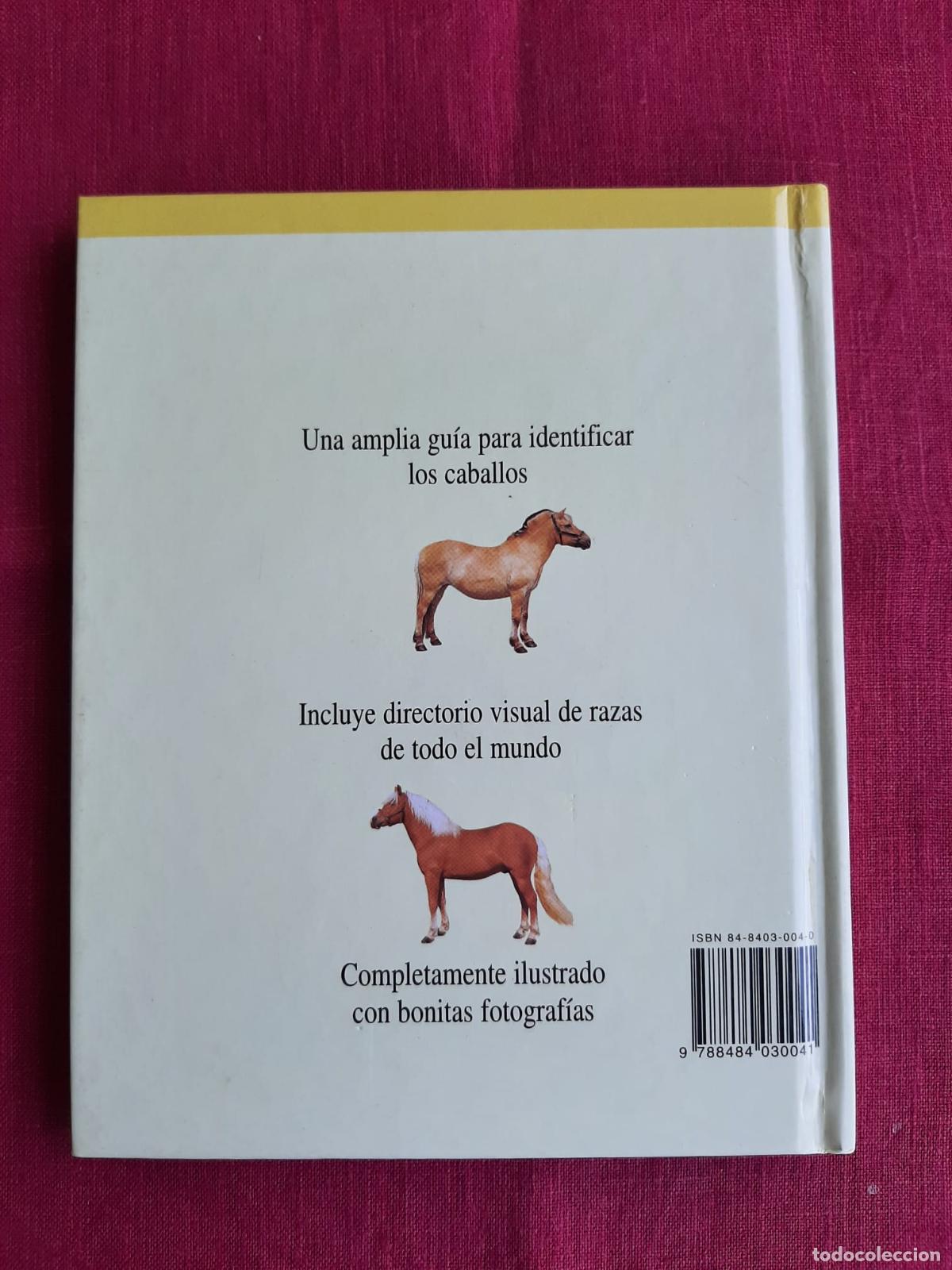 Libros de segunda mano: Caballos - Vv. Aa. - Foto 2