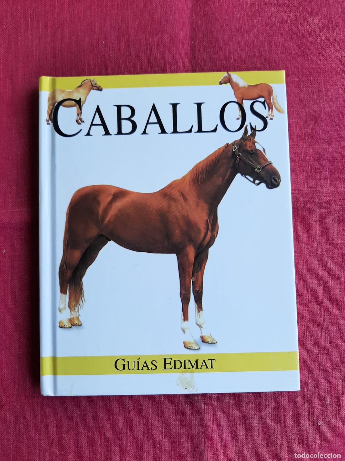 Libros de segunda mano: Caballos - Vv. Aa. - Foto 1