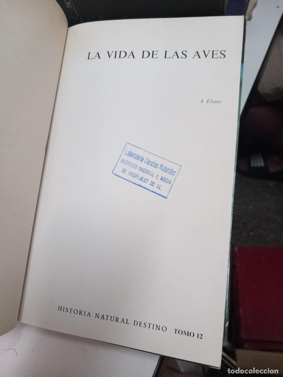 Libros de segunda mano: La vida de las aves. Tomo I. Jean Dorst. - Foto 2