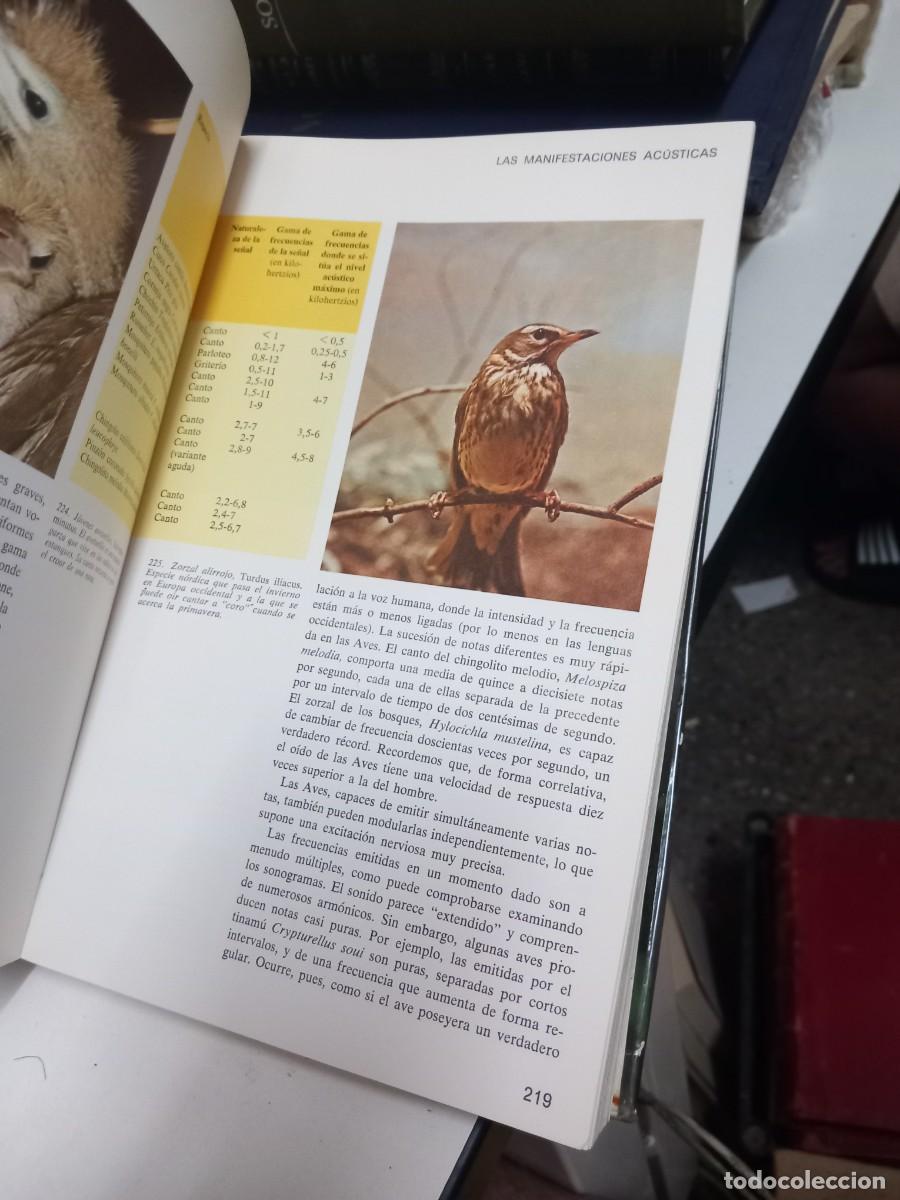 Libros de segunda mano: La vida de las aves. Tomo I. Jean Dorst. - Foto 4