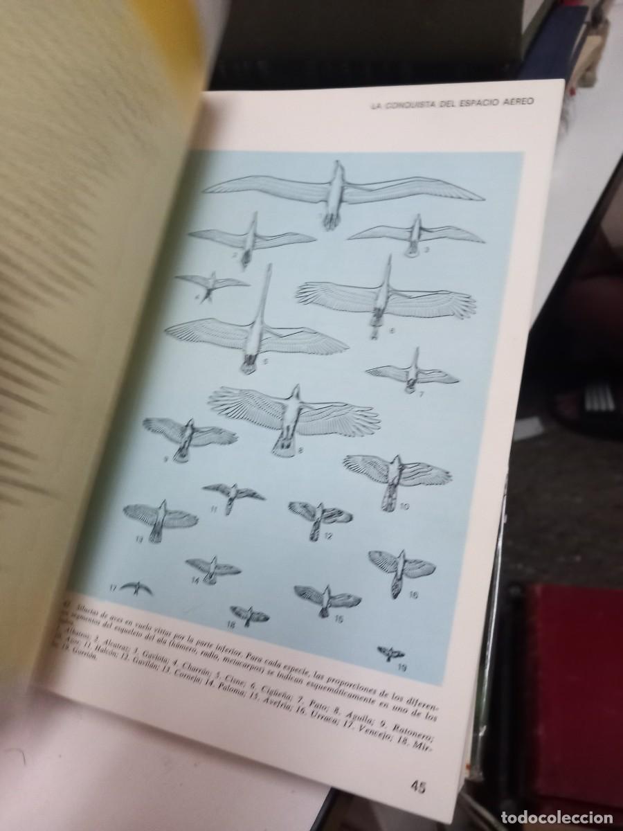 Libros de segunda mano: La vida de las aves. Tomo I. Jean Dorst. - Foto 5