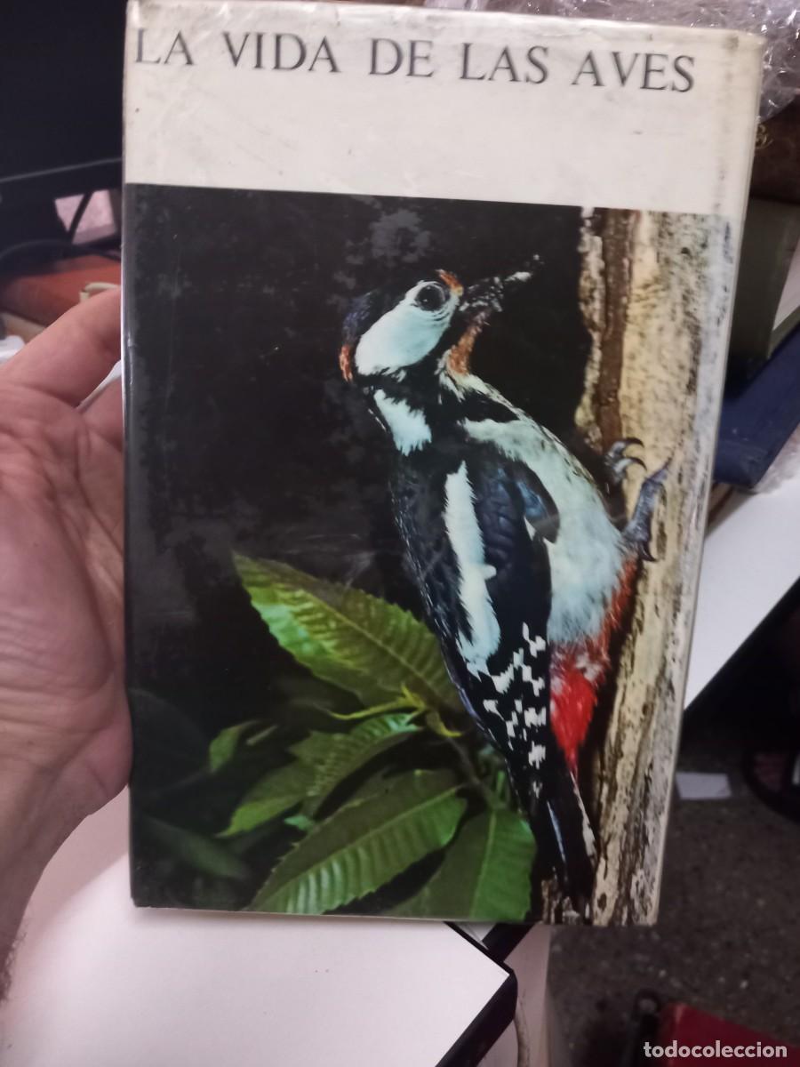Libros de segunda mano: La vida de las aves. Tomo I. Jean Dorst. - Foto 6