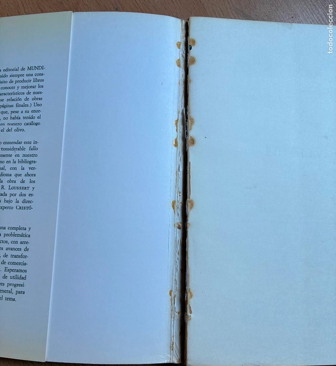 Libros de segunda mano: EL OLIVO R. Loussert y G. Brousse - Foto 2