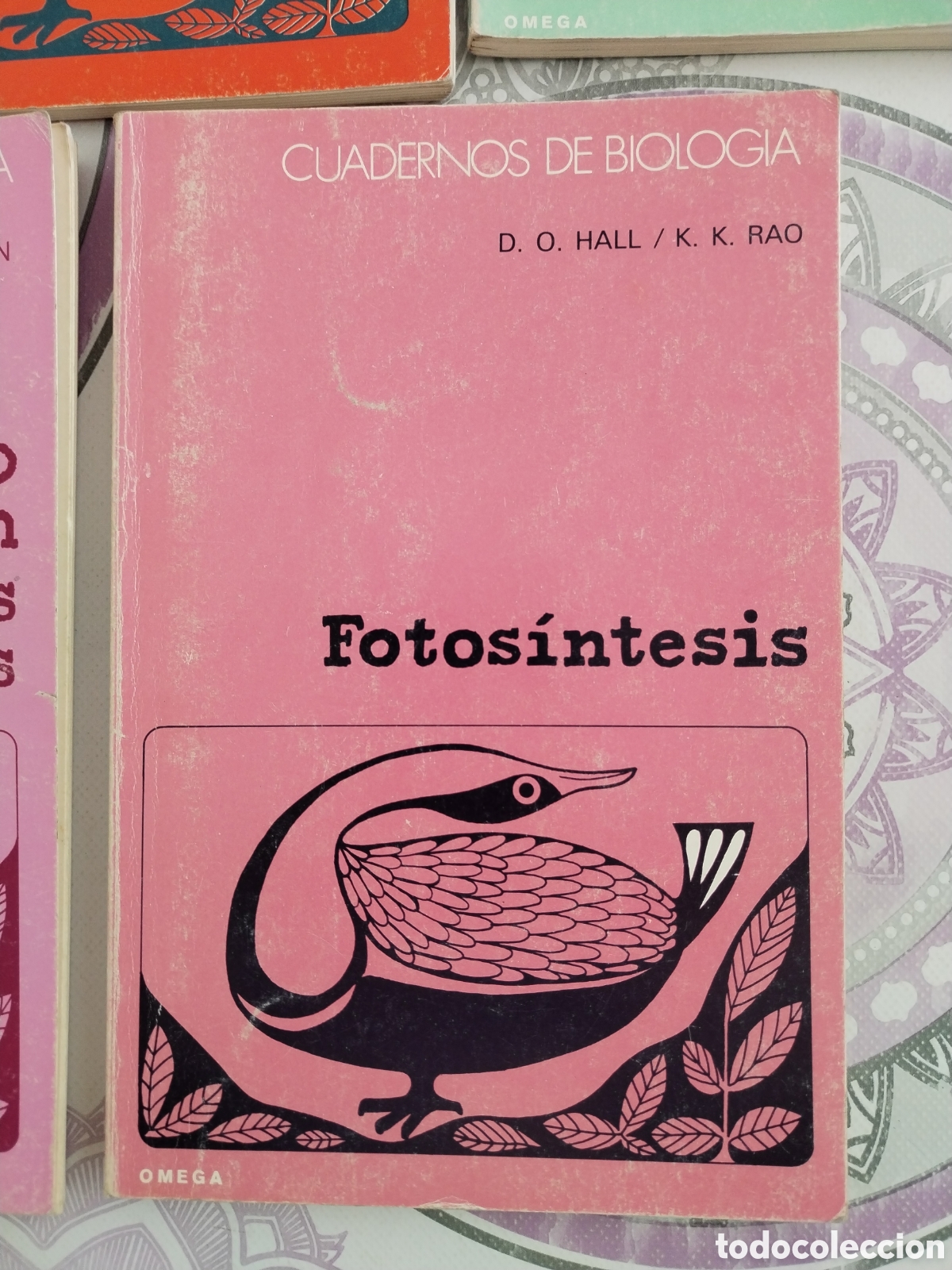 Libros de segunda mano: 11 cuadernos de biolog&iacute;a ediciones Omega - Foto 2