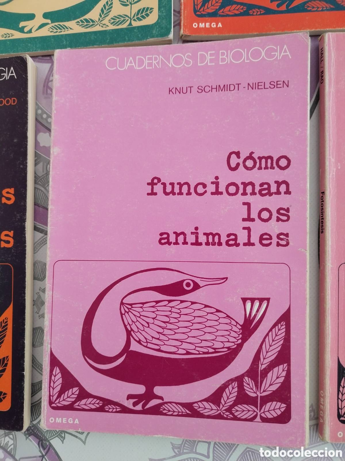 Libros de segunda mano: 11 cuadernos de biolog&iacute;a ediciones Omega - Foto 3