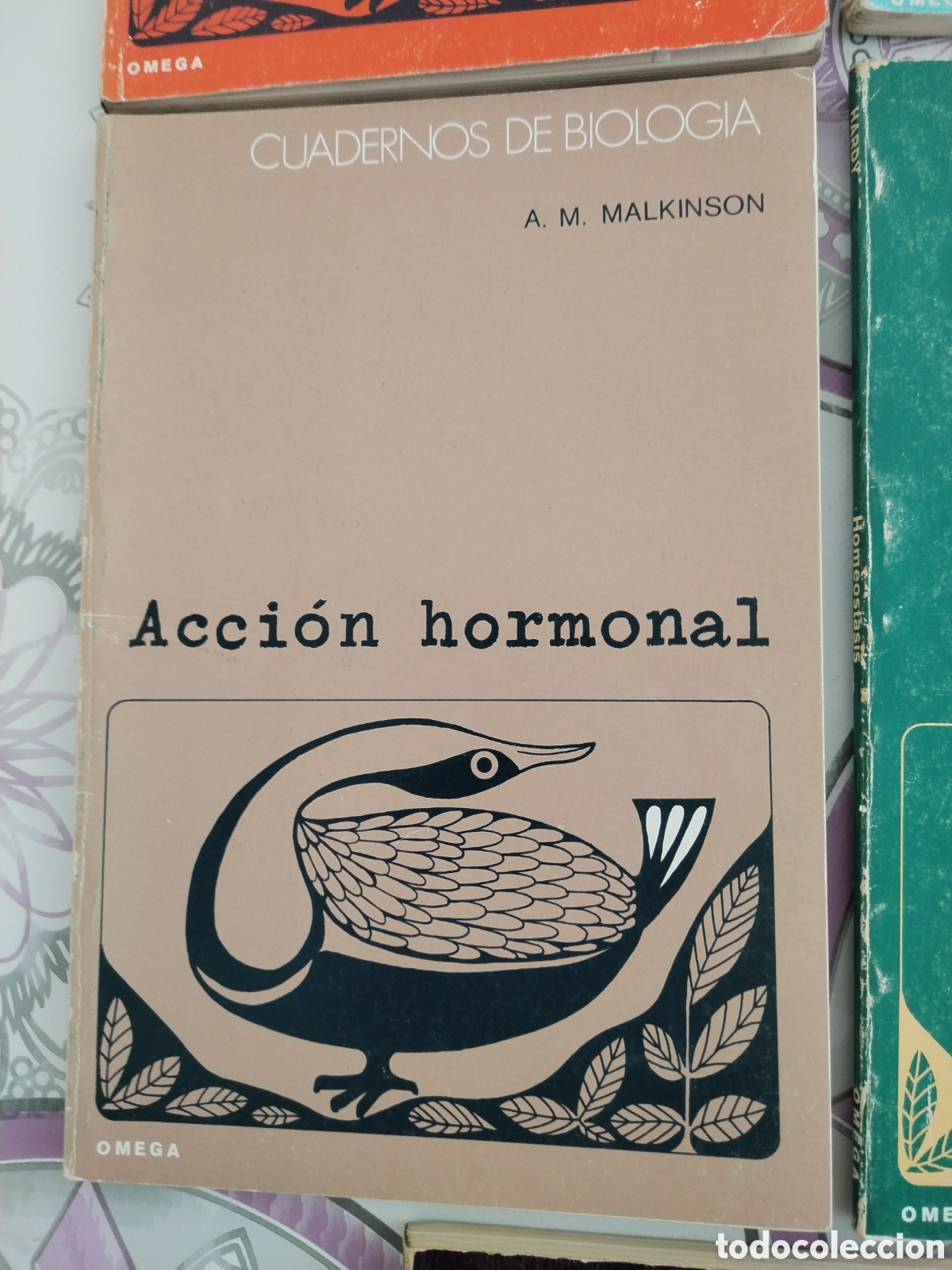 Libros de segunda mano: 11 cuadernos de biolog&iacute;a ediciones Omega - Foto 8