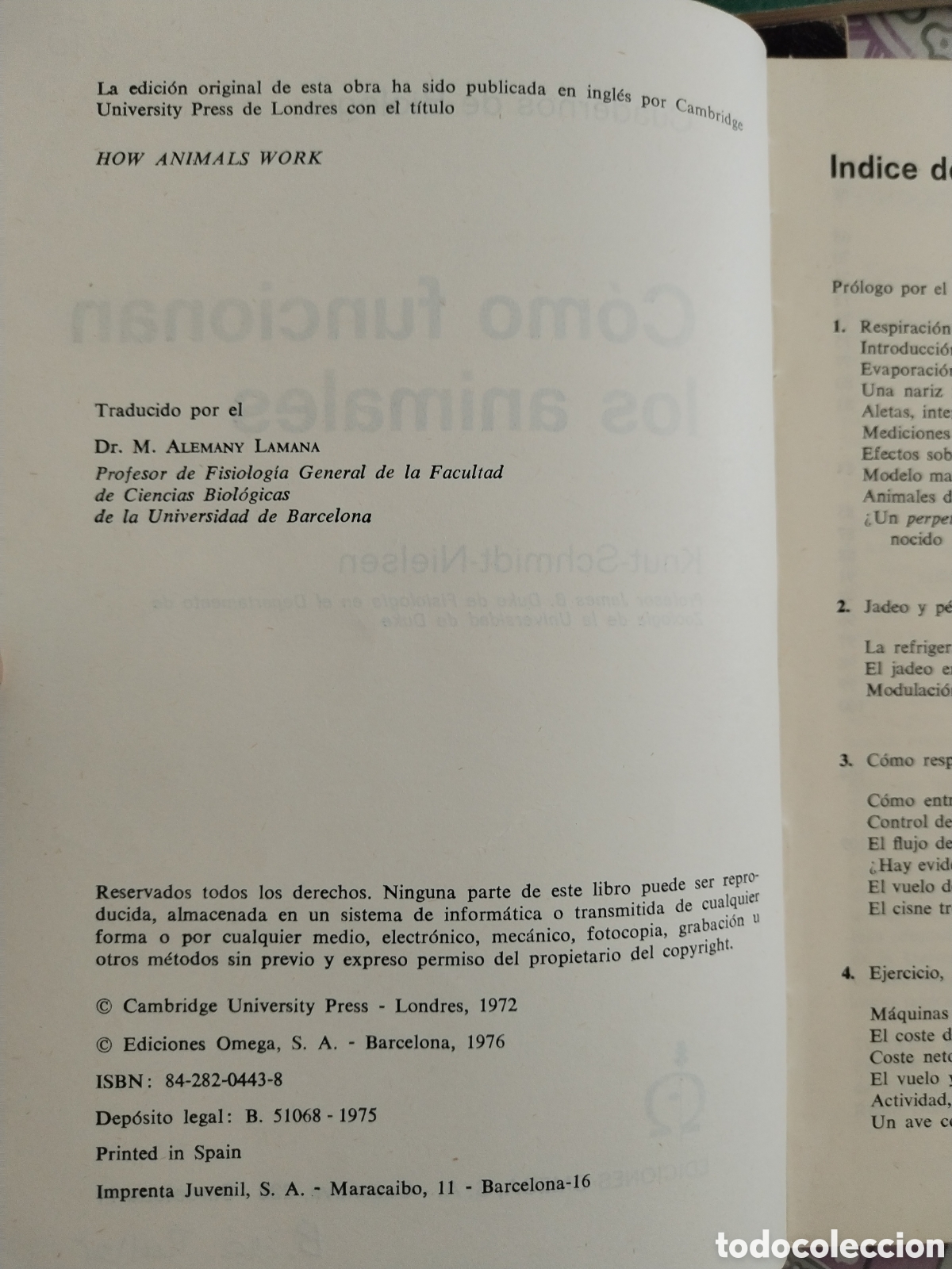 Libros de segunda mano: 11 cuadernos de biolog&iacute;a ediciones Omega - Foto 13