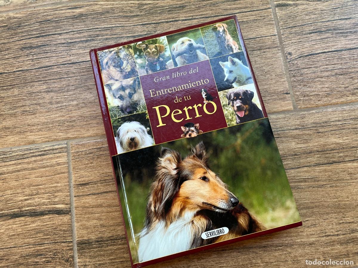 Libros de segunda mano: GRAN LIBRO DEL ENTRENAMIENTO DE TU PERRO SERVILIBRO - Foto 1