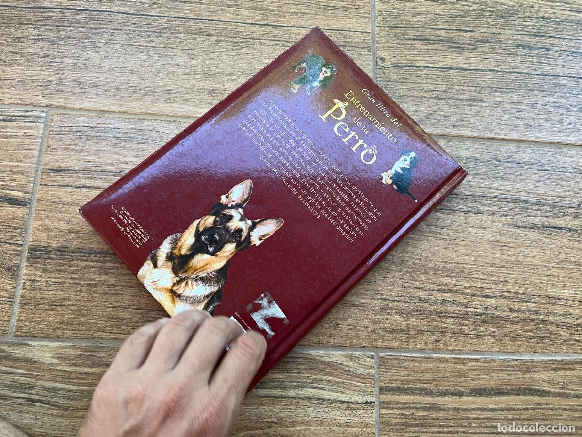Libros de segunda mano: GRAN LIBRO DEL ENTRENAMIENTO DE TU PERRO SERVILIBRO - Foto 3