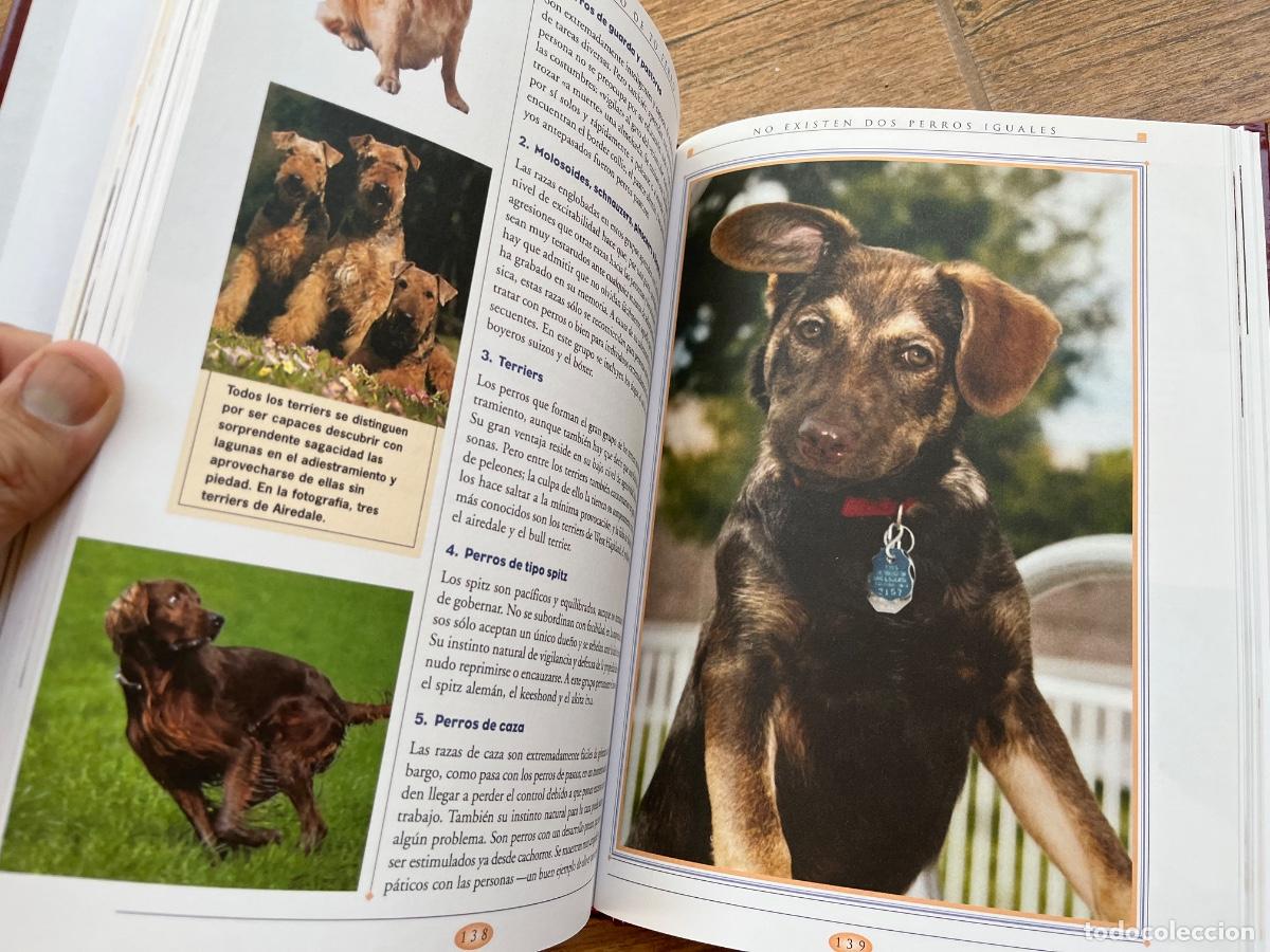 Libros de segunda mano: GRAN LIBRO DEL ENTRENAMIENTO DE TU PERRO SERVILIBRO - Foto 5