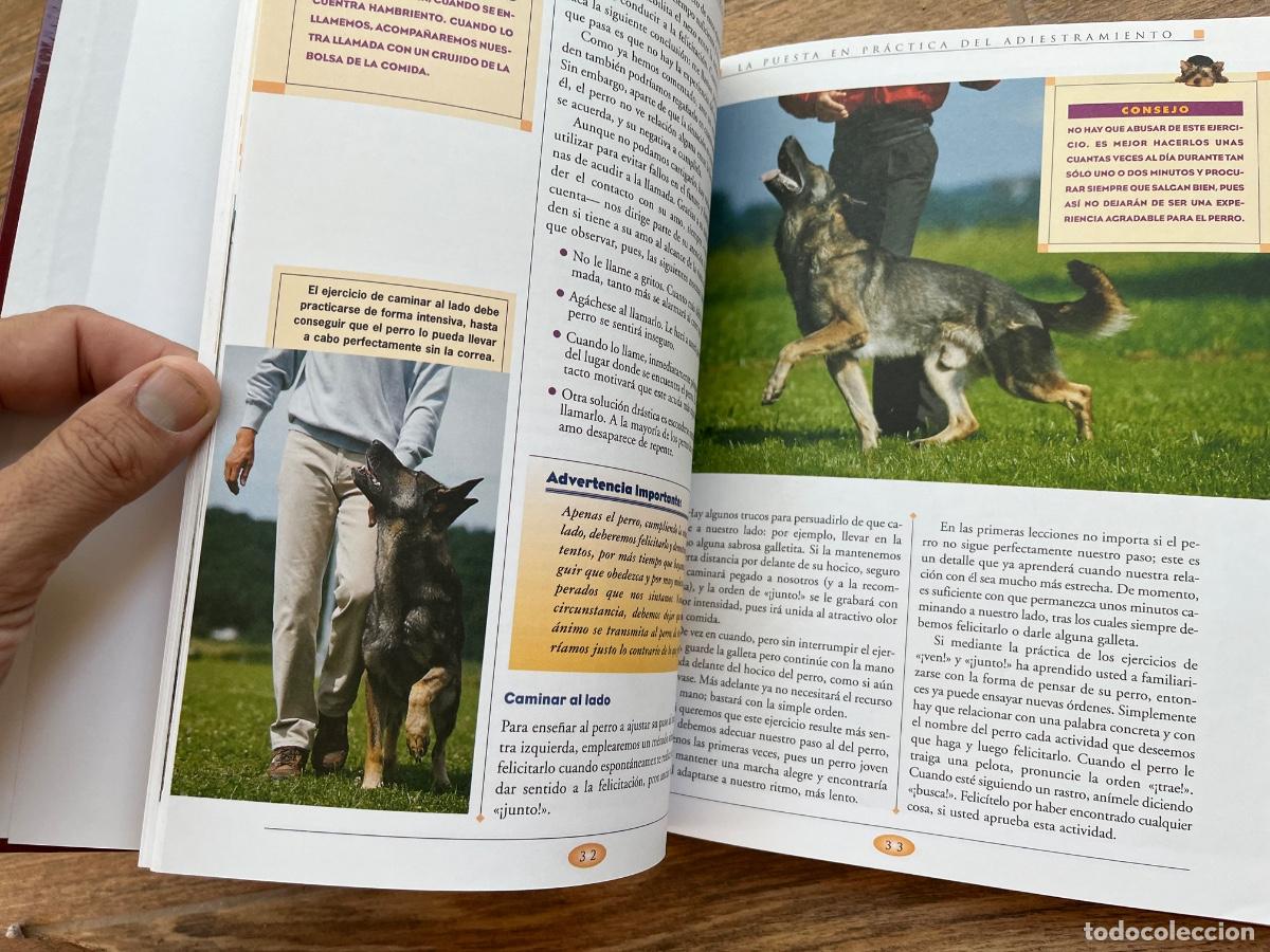 Libros de segunda mano: GRAN LIBRO DEL ENTRENAMIENTO DE TU PERRO SERVILIBRO - Foto 6