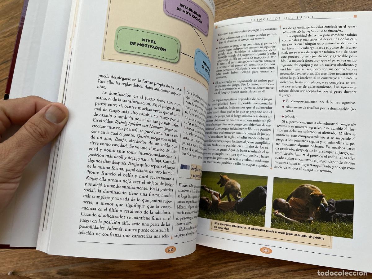 Libros de segunda mano: GRAN LIBRO DEL ENTRENAMIENTO DE TU PERRO SERVILIBRO - Foto 7