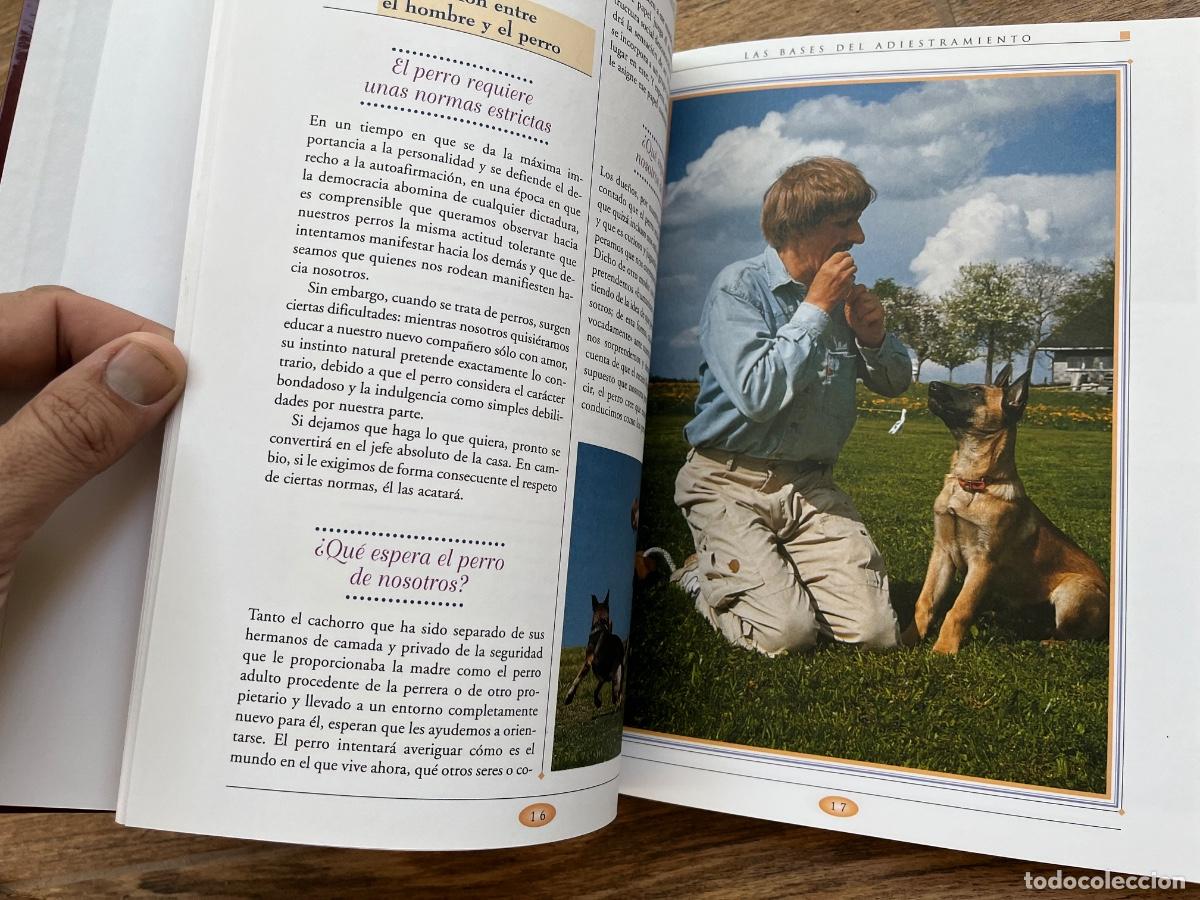 Libros de segunda mano: GRAN LIBRO DEL ENTRENAMIENTO DE TU PERRO SERVILIBRO - Foto 9