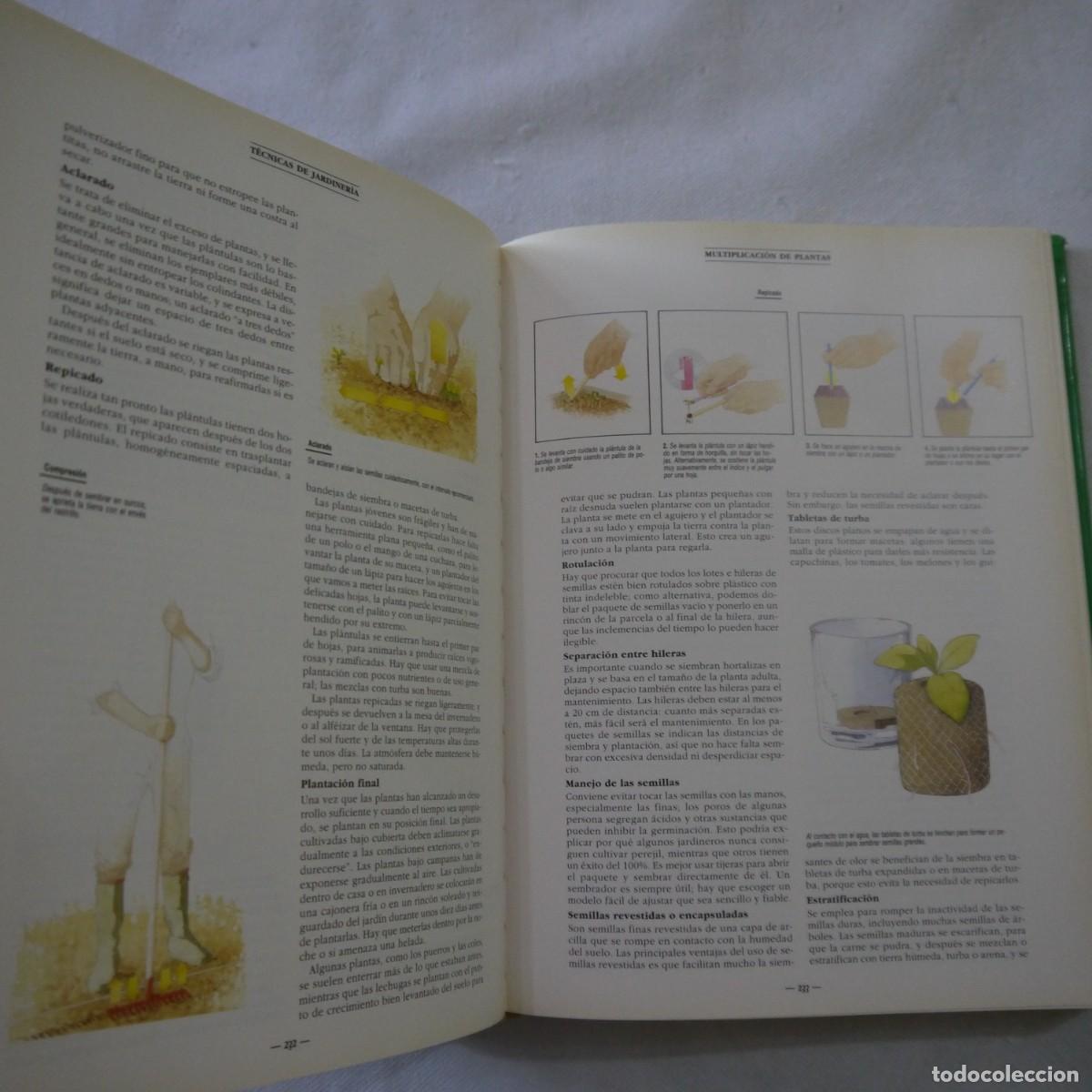 Libros de segunda mano: EL GRAN LIBRO DE LA JARDINER&Iacute;A - EDITORIAL EVEST - Foto 11