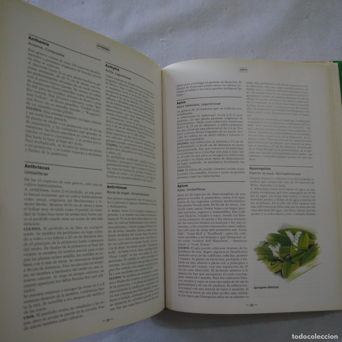 Libros de segunda mano: EL GRAN LIBRO DE LA JARDINER&Iacute;A - EDITORIAL EVEST - Foto 12