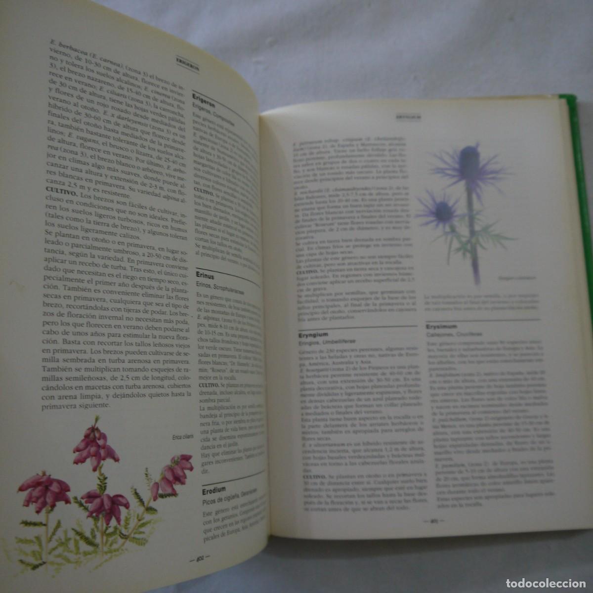 Libros de segunda mano: EL GRAN LIBRO DE LA JARDINER&Iacute;A - EDITORIAL EVEST - Foto 13